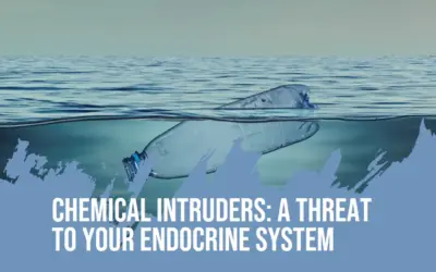 The Endocrine System’s Unwanted Guests: A Guide to Chemical Intruders