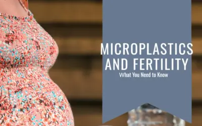 Microplastics and Fertility: What You Need to Know