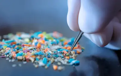 The Unseen Threat: Understanding the Health Impacts of Microplastics